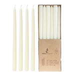 12 pcs 12" Unscented Taper Candle in Brown Box - Ivory