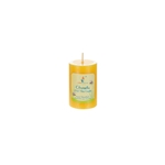 Mega Candles - 2" x 3" Round Citronella Pillar Candle in Shrink Wrap - Yellow