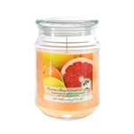 Mega Candles - 18 oz. Country Dreams Scented Jar Candle - Brazilian Mango