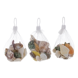 Mega Crafts - 1/4 Pound Assorted Sea Shells