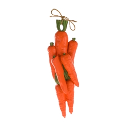 Mega Favors - Vegetable Plaque - Carrots